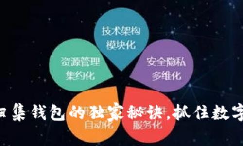专家揭秘：USDT归集钱包的独家秘诀，抓住数字货币的投资机会