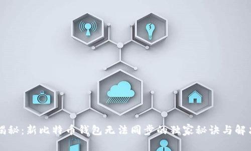 专家揭秘：新比特币钱包无法同步的独家秘诀与解决方案