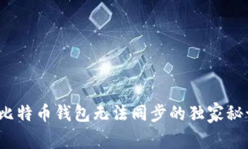 专家揭秘：新比特币钱包无法同步的独家秘诀与解决方案