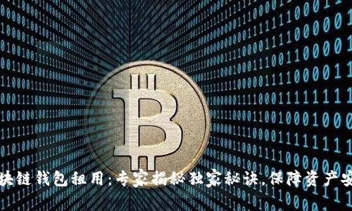区块链钱包租用：专家揭秘独家秘诀，保障资产安全