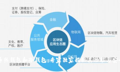 比特币热钱包和冷钱包：专家独家揭秘其功能与安全秘诀