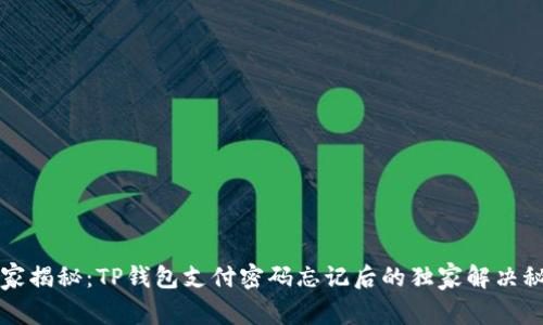 专家揭秘：TP钱包支付密码忘记后的独家解决秘诀