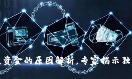 比特币钱包丢失资金的原因解析，专家揭示独家秘诀防止损失