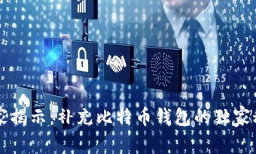 专家揭示：补充比特币钱包的独家秘诀