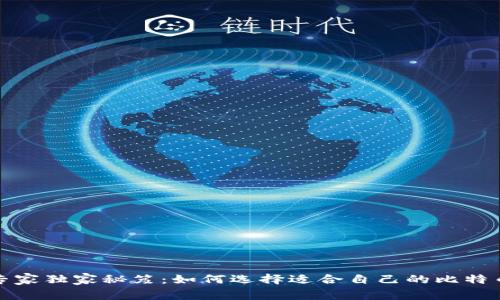 揭秘专家独家秘笈：如何选择适合自己的比特币钱包