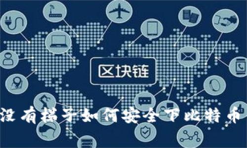 ## 专家揭秘：没有梯子如何安全下比特币钱包的独家秘诀
