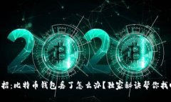 专家支招：比特币钱包丢