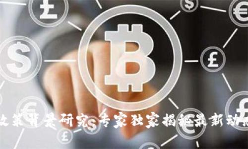 区块链钱包政策背景研究：专家独家揭秘最新动态与发展秘诀