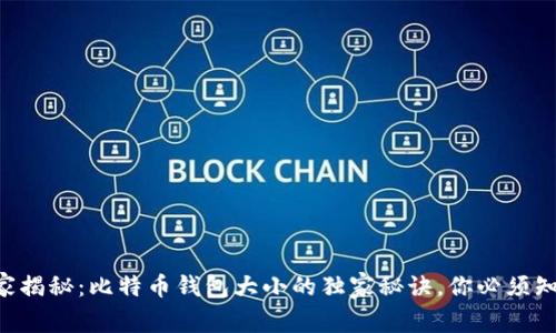 专家揭秘：比特币钱包大小的独家秘诀，你必须知道！