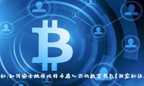 专家揭秘：如何安全地将比特币存入你的数字钱包？独家秘诀大公开！