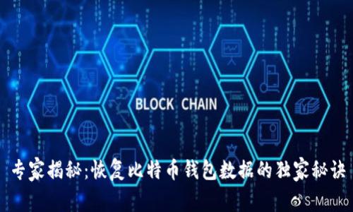 专家揭秘：恢复比特币钱包数据的独家秘诀
