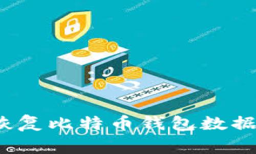 专家揭秘：恢复比特币钱包数据的独家秘诀
