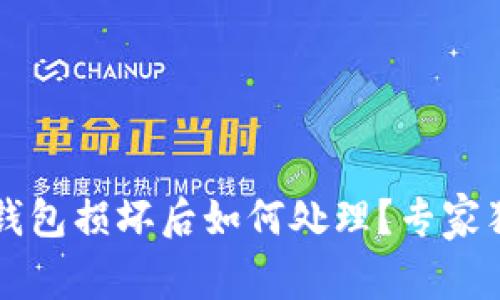 比特币硬件钱包损坏后如何处理？专家独家秘诀分享