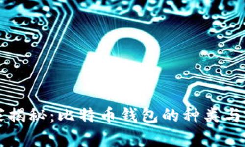 专家独家揭秘：比特币钱包的种类与使用秘诀