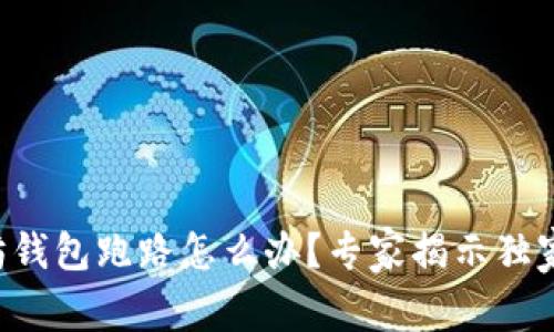 以太坊钱包跑路怎么办？专家揭示独家秘诀！