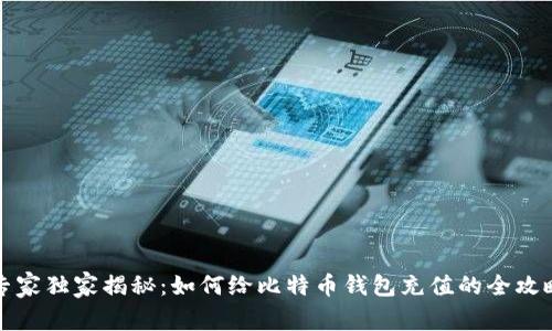 专家独家揭秘：如何给比特币钱包充值的全攻略