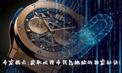专家揭示：获取比特币钱