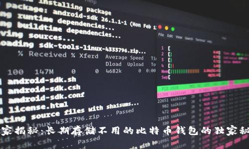 专家揭秘：长期存储不用的比特币钱包的独家秘诀