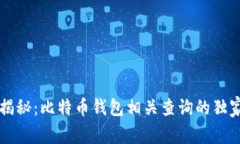 专家揭秘：比特币钱包相