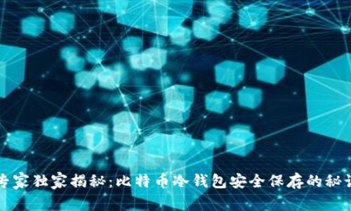 专家独家揭秘：比特币冷钱包安全保存的秘诀