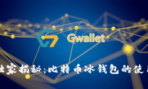专家独家揭秘：比特币冰钱包的使用秘诀