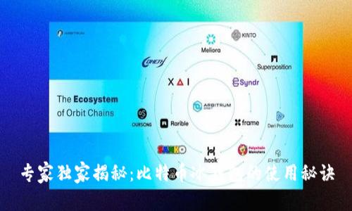 专家独家揭秘：比特币冰钱包的使用秘诀