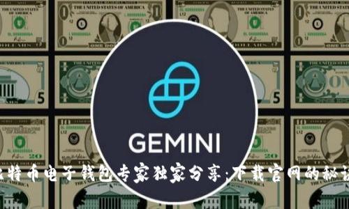 比特币电子钱包专家独家分享：下载官网的秘诀！