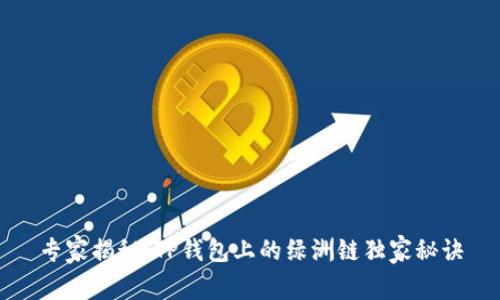 专家揭秘：TP钱包上的绿洲链独家秘诀