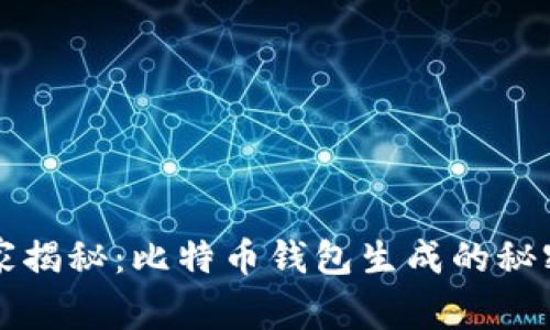 专家独家揭秘：比特币钱包生成的秘密与秘诀