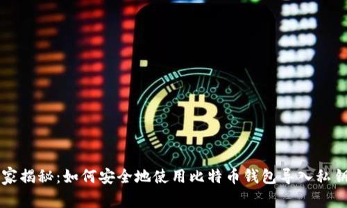 专家独家揭秘：如何安全地使用比特币钱包导入私钥的秘诀