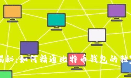 专家揭秘：如何精通比特币钱包的独家秘诀