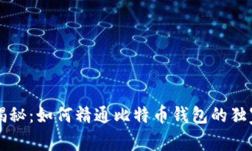 专家揭秘：如何精通比特币钱包的独家秘诀