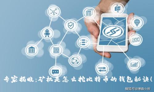 专家揭晓：矿机是怎么挖比特币的钱包秘诀！