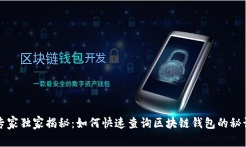 专家独家揭秘：如何快速查询区块链钱包的秘诀