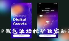 专家揭秘：T P钱包波场挖