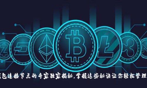 比特币钱包连接节点的专家独家揭秘，掌握这些秘诀让你轻松管理数字资产