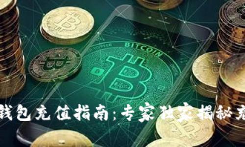 比特币钱包充值指南：专家独家揭秘充值秘诀