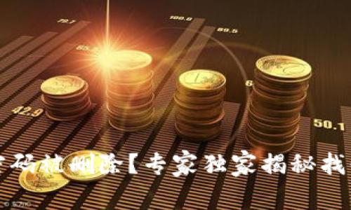 比特币钱包密码被删除？专家独家揭秘找回密码的秘诀