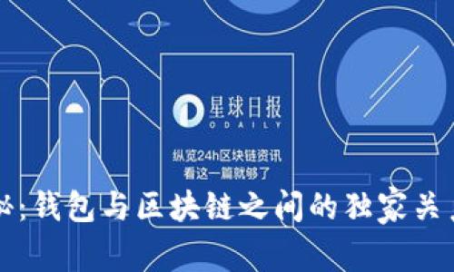 专家揭秘：钱包与区块链之间的独家关系与秘诀