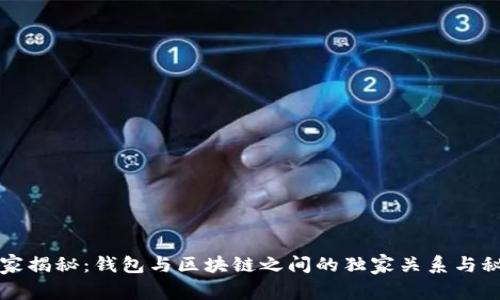 专家揭秘：钱包与区块链之间的独家关系与秘诀
