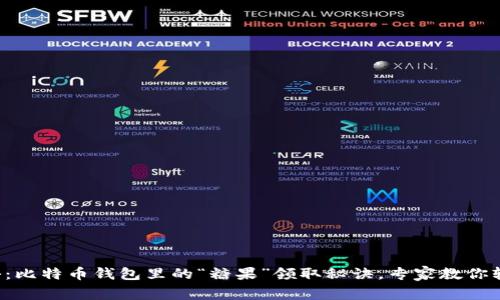 独家揭秘：比特币钱包里的“糖果”领取秘诀，专家教你轻松上手！
