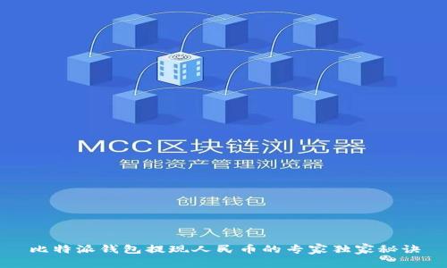 比特派钱包提现人民币的专家独家秘诀