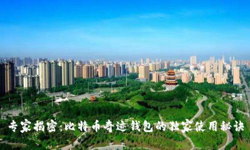 专家揭密：比特币奇迹钱包的独家使用秘诀
