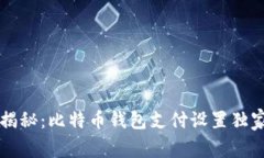 专家揭秘：比特币钱包支