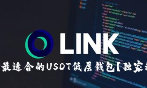 专家揭秘：如何选择最适合的USDT低层钱包？独家秘诀，助你安全存储！