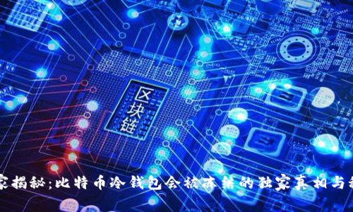 专家揭秘：比特币冷钱包会被冻结的独家真相与秘诀