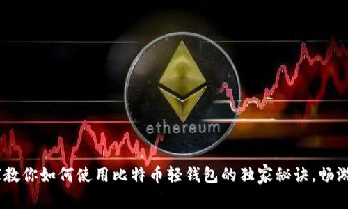 揭秘！专家教你如何使用比特币轻钱包的独家秘诀，畅游测试网络