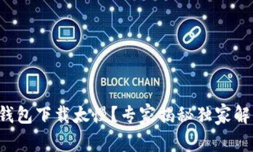 比特币钱包下载太慢？专家揭秘独家解决秘诀！