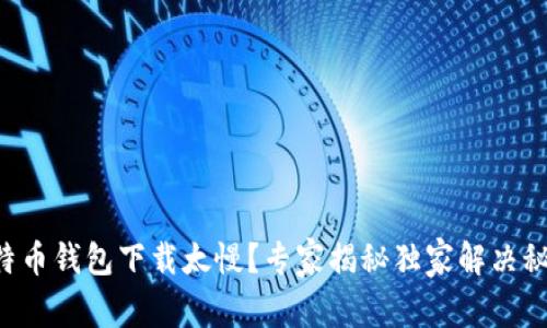 比特币钱包下载太慢？专家揭秘独家解决秘诀！