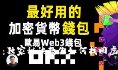 专家分享：独家秘诀教你如何找回虚拟币钱包